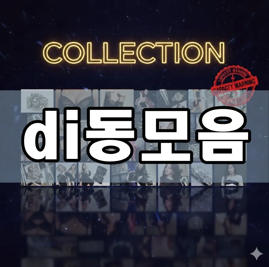 di동모음 표지 di동모음 표지